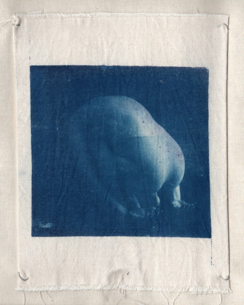 "orb" collaborative work with Katie Adams Gossage